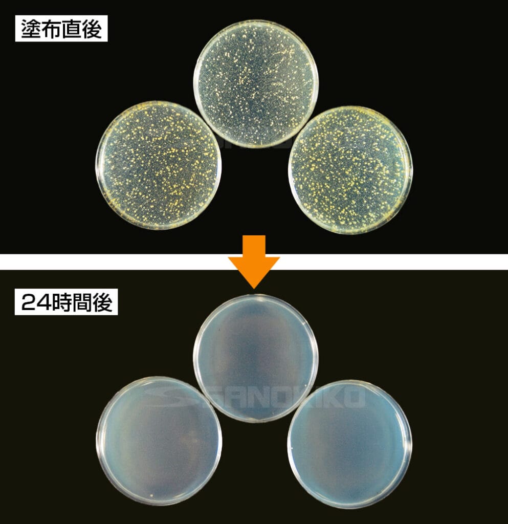 使用している銅材に黄色ブドウ球菌を塗布した場合の塗布直後と24時間後の比較