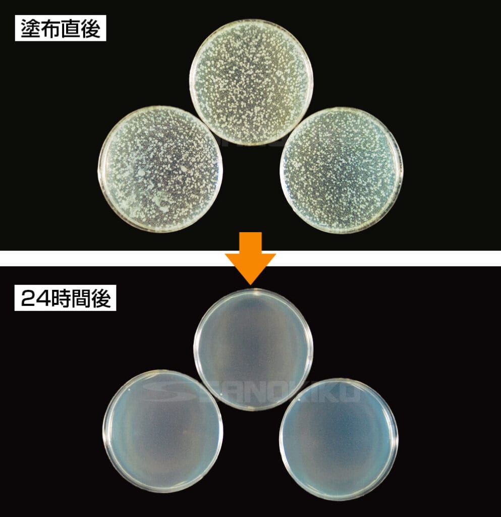 使用している銅材に大腸菌を塗布した場合の塗布直後と24時間後の比較